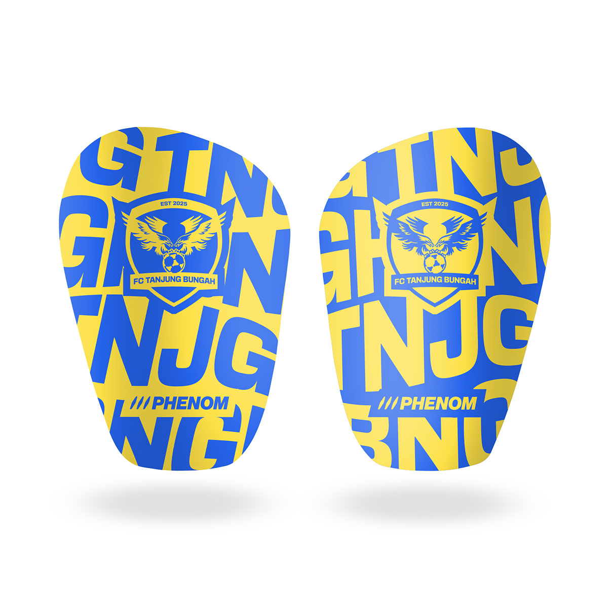 FCTB Shin Pads